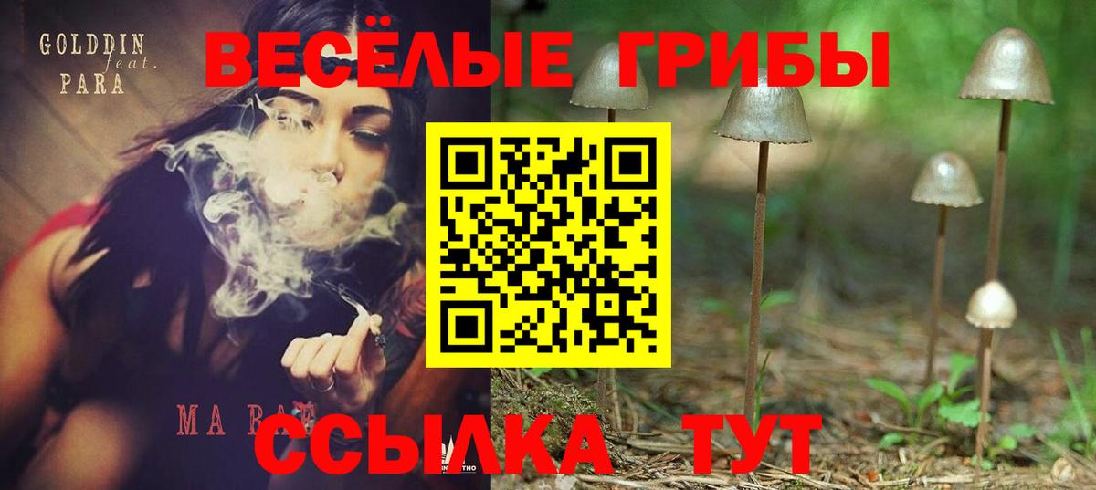 Галлюциногенные грибы прущие грибы  Вход с VPN  Галлюциногенные грибы мухоморы  Когалым 